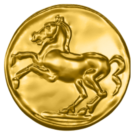 Virtual Sports Excitement